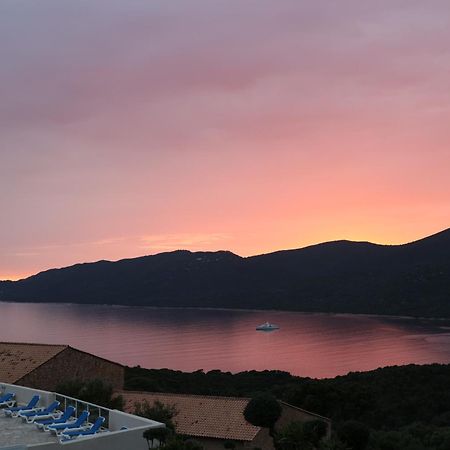Chez Adrien 108-Appartement Magnifique Vue Mer Piscine Chauffee Serra-di-Ferro  Εξωτερικό φωτογραφία