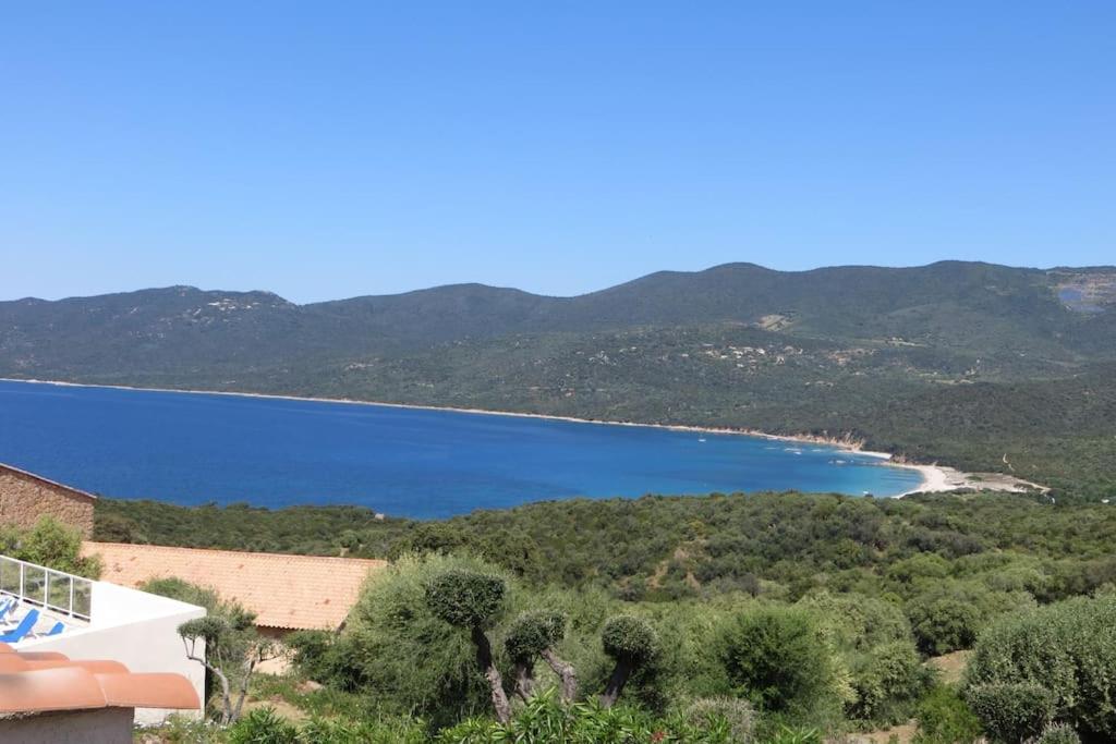 Chez Adrien 108-Appartement Magnifique Vue Mer Piscine Chauffee Serra-di-Ferro  Εξωτερικό φωτογραφία