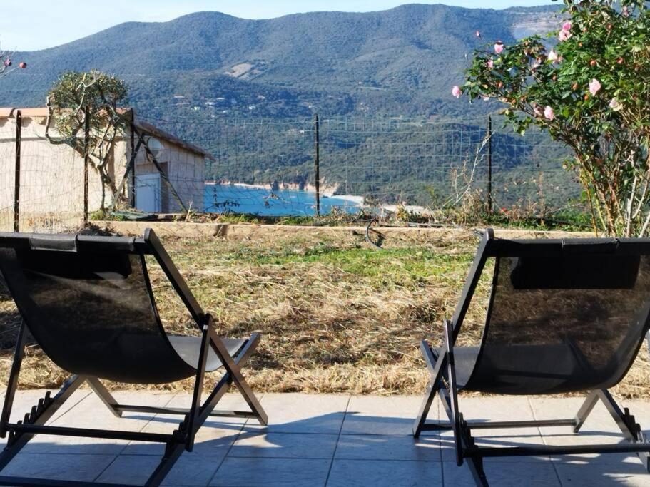 Chez Adrien 108-Appartement Magnifique Vue Mer Piscine Chauffee Serra-di-Ferro  Εξωτερικό φωτογραφία