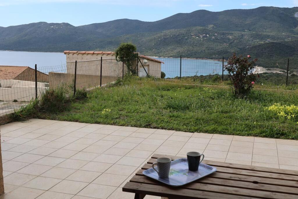 Chez Adrien 108-Appartement Magnifique Vue Mer Piscine Chauffee Serra-di-Ferro  Εξωτερικό φωτογραφία