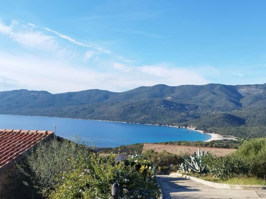 Chez Adrien 108-Appartement Magnifique Vue Mer Piscine Chauffee Serra-di-Ferro  Εξωτερικό φωτογραφία