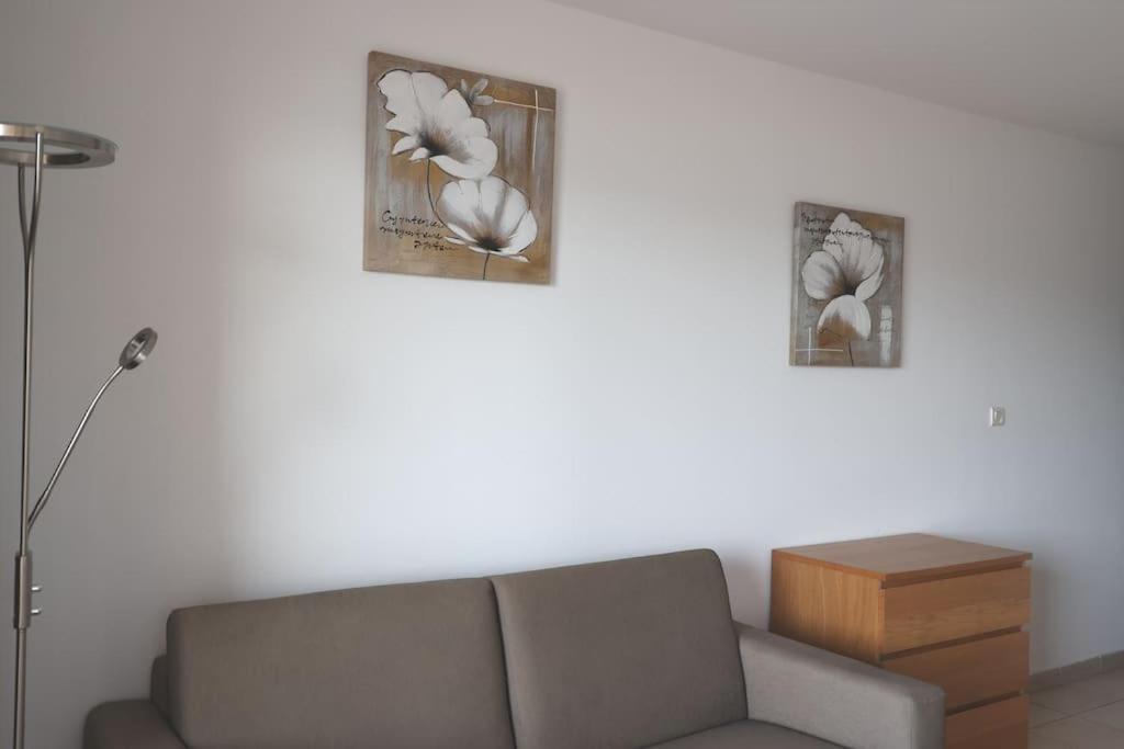 Chez Adrien 108-Appartement Magnifique Vue Mer Piscine Chauffee Serra-di-Ferro  Εξωτερικό φωτογραφία