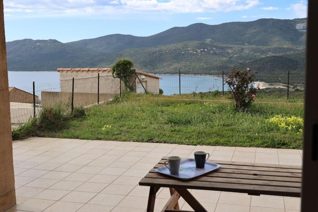 Chez Adrien 108-Appartement Magnifique Vue Mer Piscine Chauffee Serra-di-Ferro  Εξωτερικό φωτογραφία
