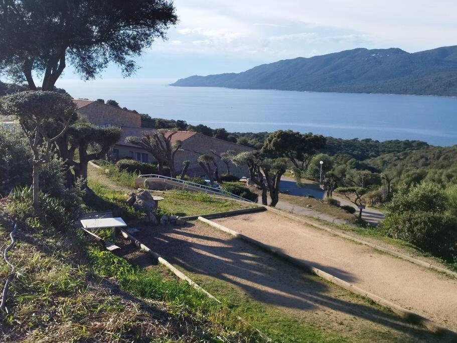 Chez Adrien 108-Appartement Magnifique Vue Mer Piscine Chauffee Serra-di-Ferro  Εξωτερικό φωτογραφία